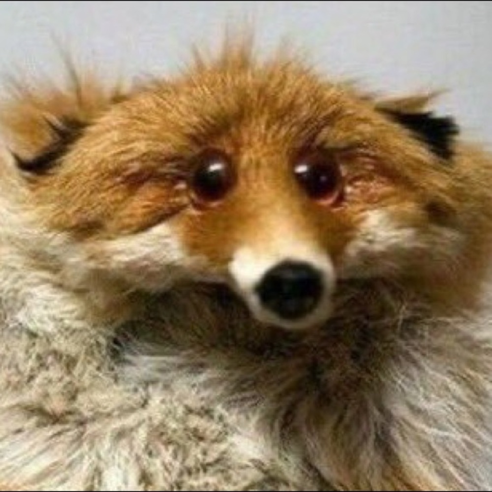 Meet your Posher, Jakob